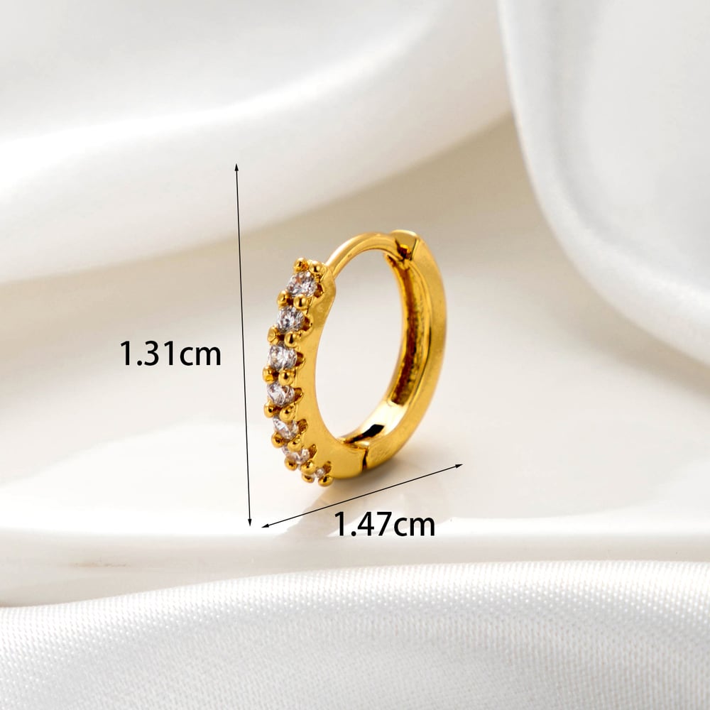 1 Piece Simple Series Classic Animal Copper No Plating Material Zircon Women Stud Earrings Picture4