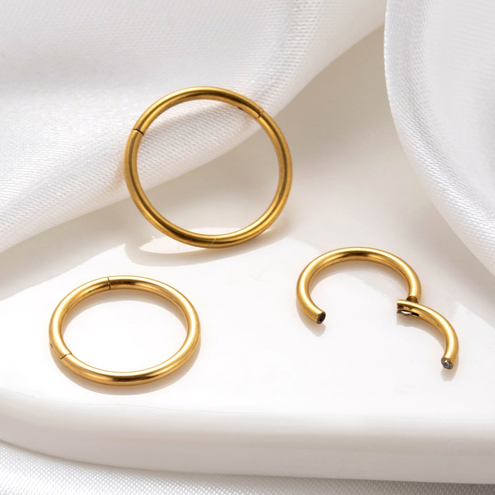 1 Piece Simple Series Classic Geometric Titanium Steel No Plating Material Women Stud Earrings h5Picture7