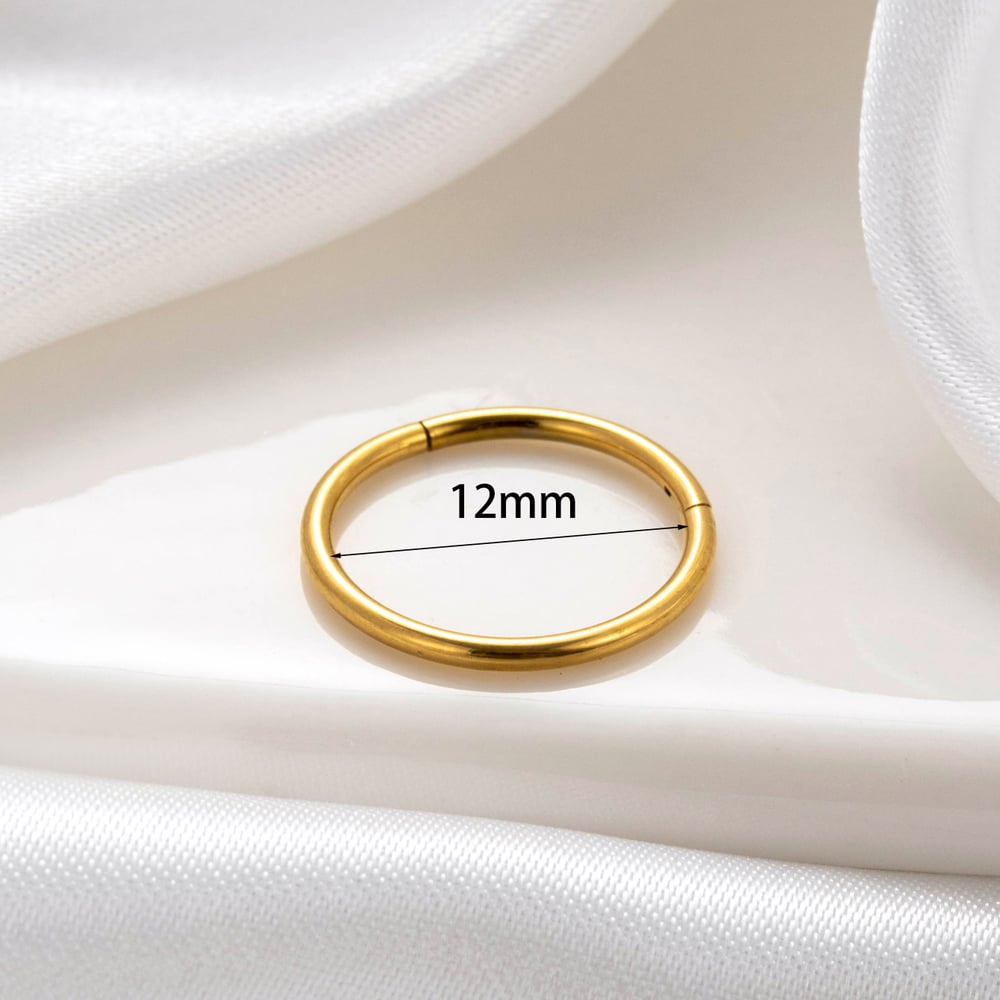 1 Piece Simple Series Classic Geometric Titanium Steel No Plating Material Women Stud Earrings h5Picture6
