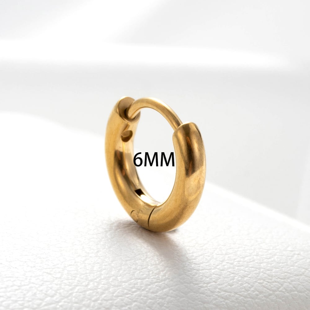 1 Piece Simple Series Classic Flower Titanium Steel No Plating Material Women Stud Earrings h5Picture3