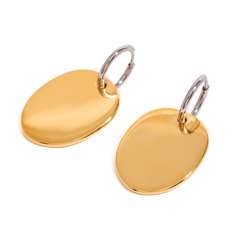 1 pair simple series daily geometric stainless steel  gold plated women drop earrings h5Picture6