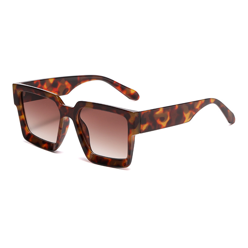 1 Piece Simple Series Casual Leopard Print Plastic Women's Sunglasses h5Picture2