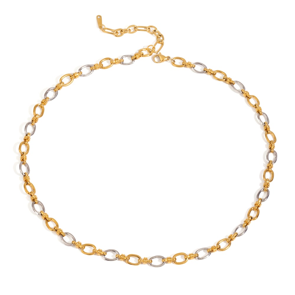 1 Piece Modern Series Sophisticated Chain Stainless Steel Gold & Silver Color Women's Chain Necklaces h5Picture11