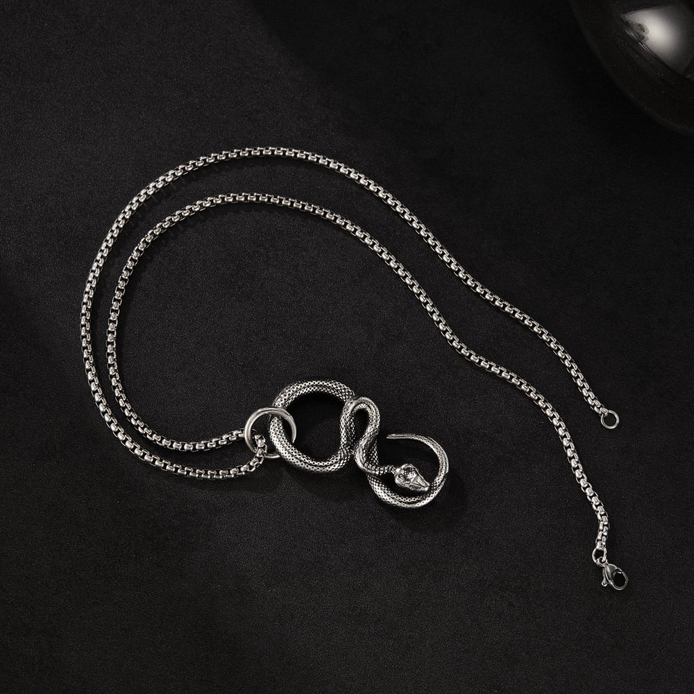 Kavisli Yılan Paslanmaz Çelik Erkek Kolyeleri Resim3