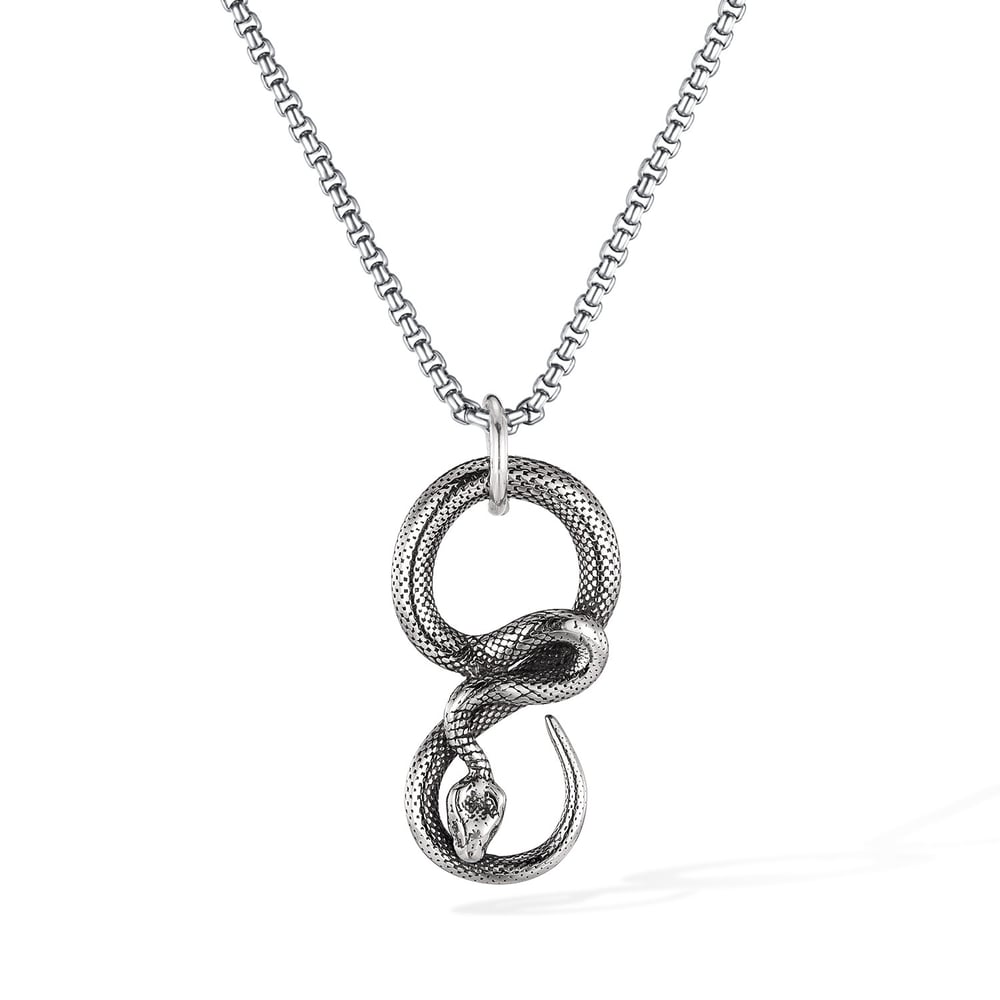 Kavisli Yılan Paslanmaz Çelik Erkek Kolyeleri 