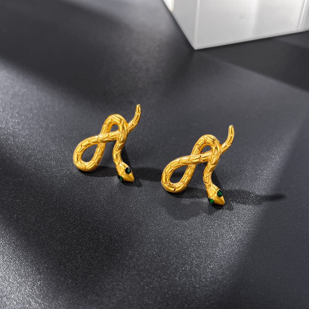 1 paio di orecchini da uomo in acciaio inossidabile a forma di serpente di design h5Immagine2