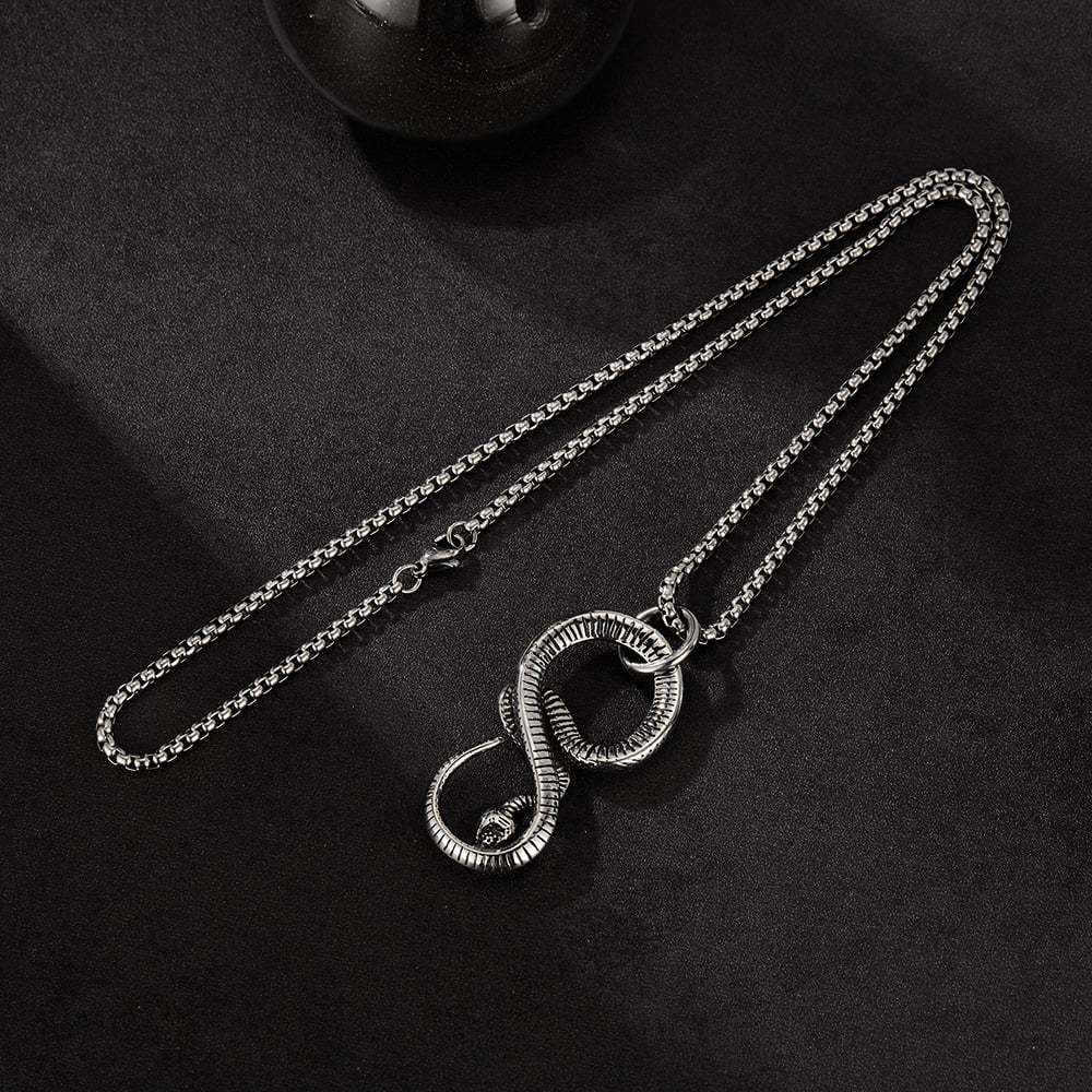 Kavisli Yılan Paslanmaz Çelik Erkek Kolyeleri Resim2