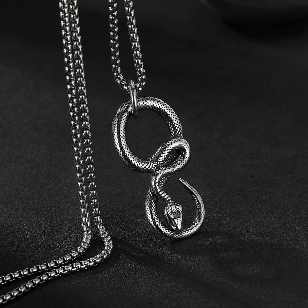 Kavisli Yılan Paslanmaz Çelik Erkek Kolyeleri Resim5