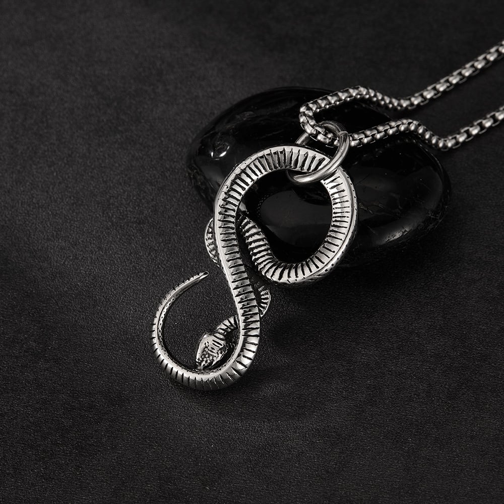 Kavisli Yılan Paslanmaz Çelik Erkek Kolyeleri Resim4