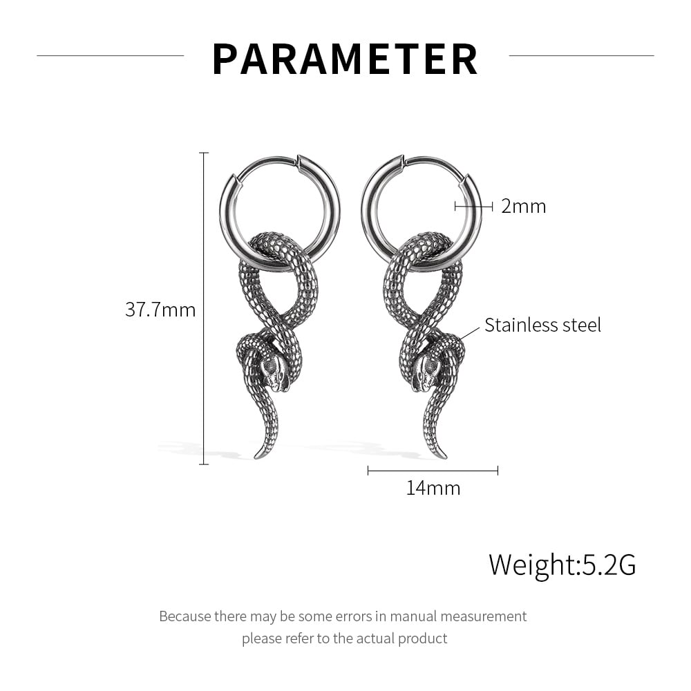 Hip-Pop Yılan Paslanmaz Çelik Erkek Küpeleri Resim2