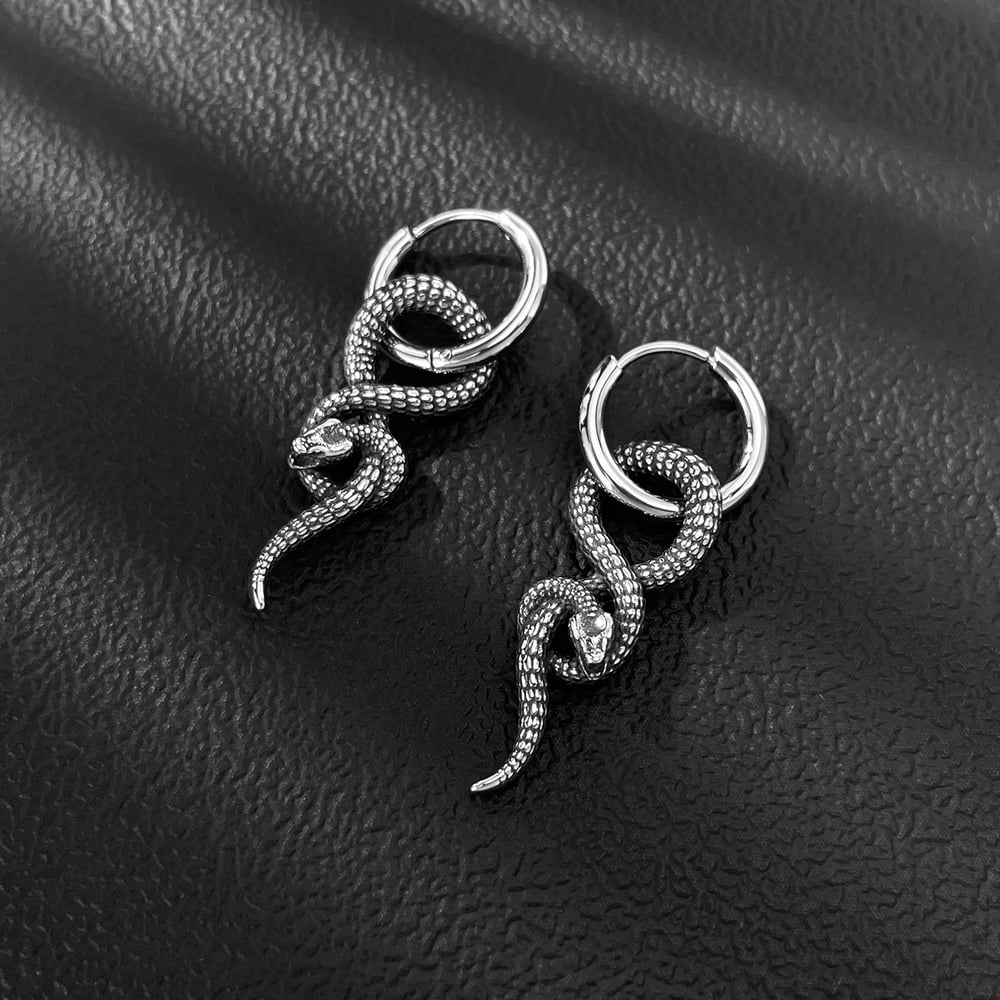 Hip-Pop Yılan Paslanmaz Çelik Erkek Küpeleri Resim4