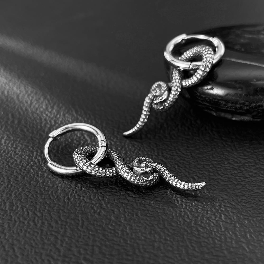 Hip-Pop Yılan Paslanmaz Çelik Erkek Küpeleri Resim7