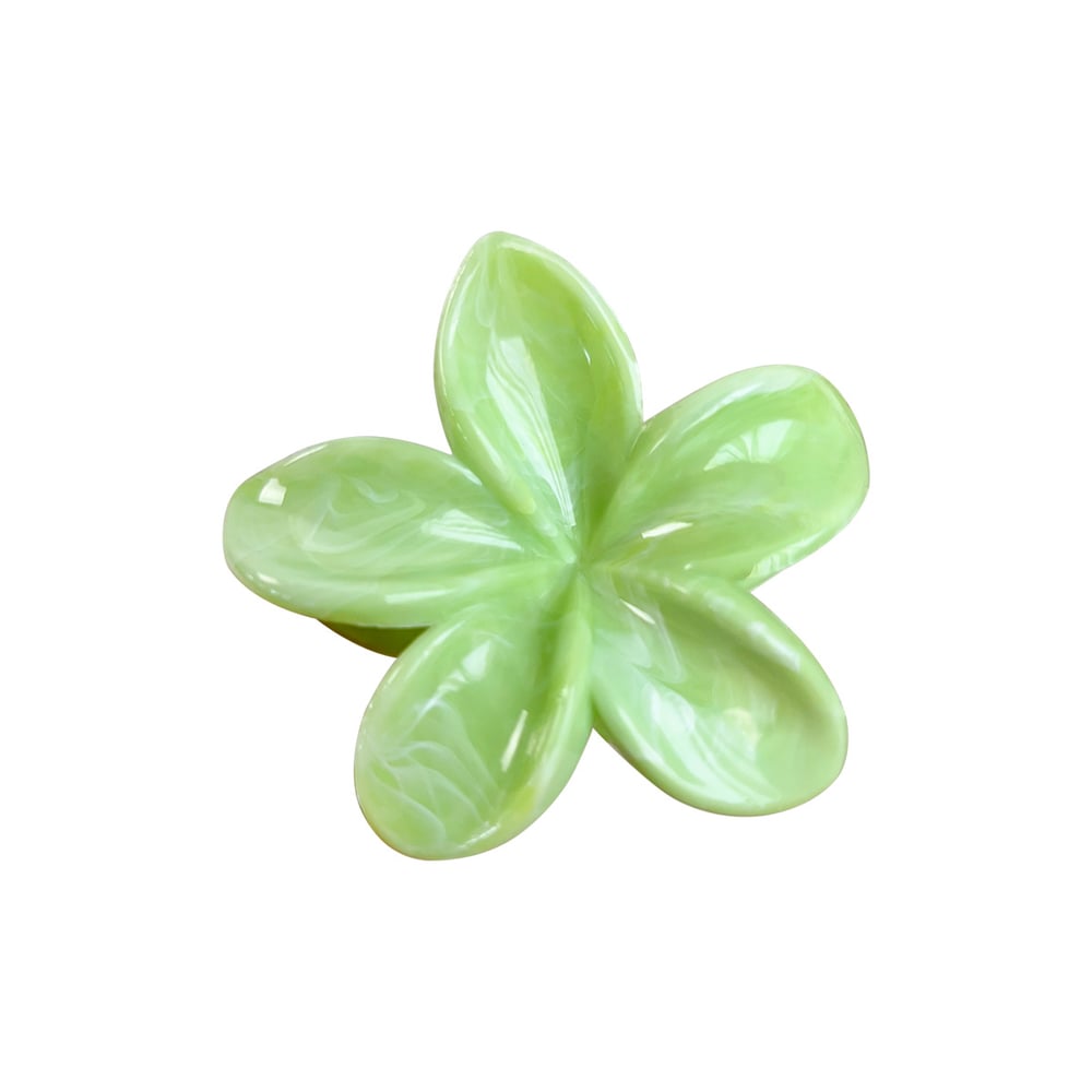 1 Piece Romantic Series Sweet Flower Resin Women's Hair Claws h5Picture4