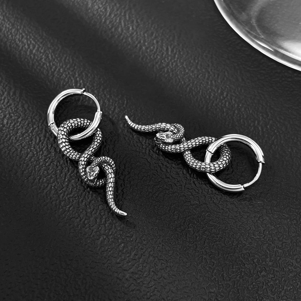 Hip-Pop Yılan Paslanmaz Çelik Erkek Küpeleri Resim5