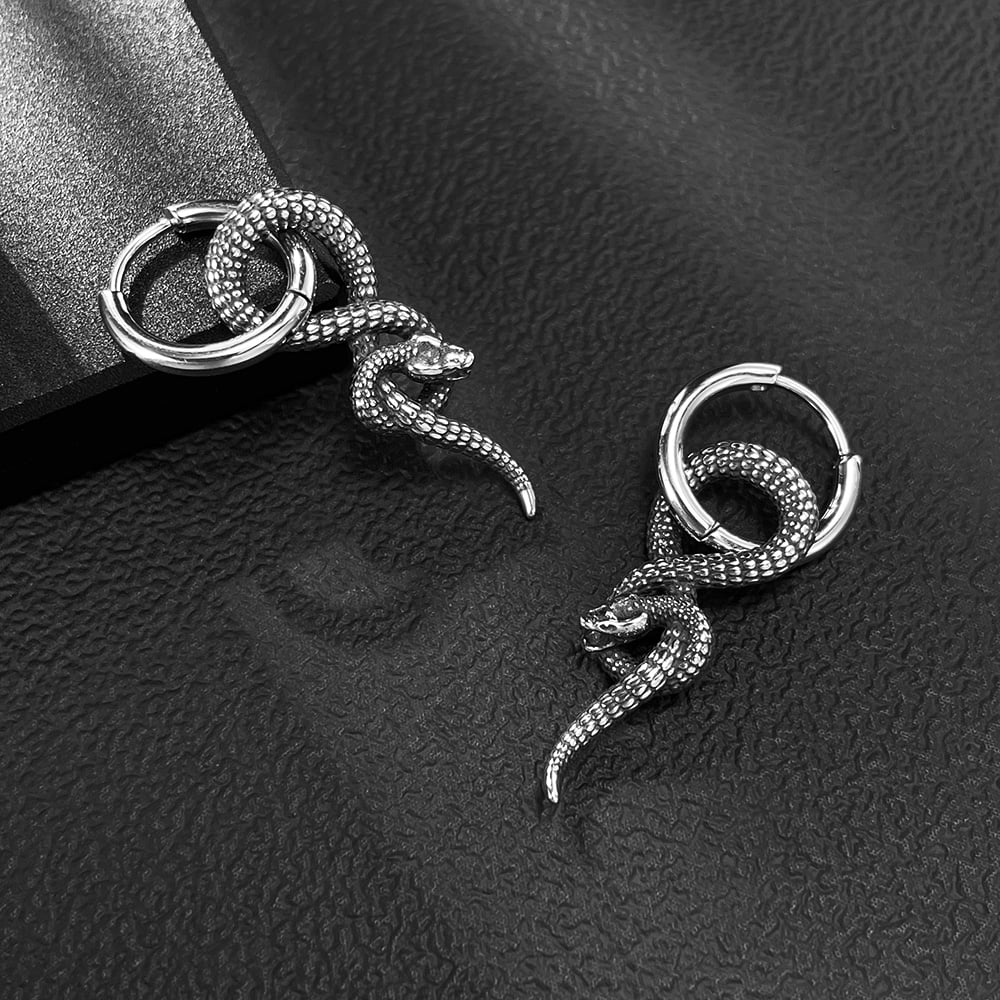 Hip-Pop Yılan Paslanmaz Çelik Erkek Küpeleri Resim6