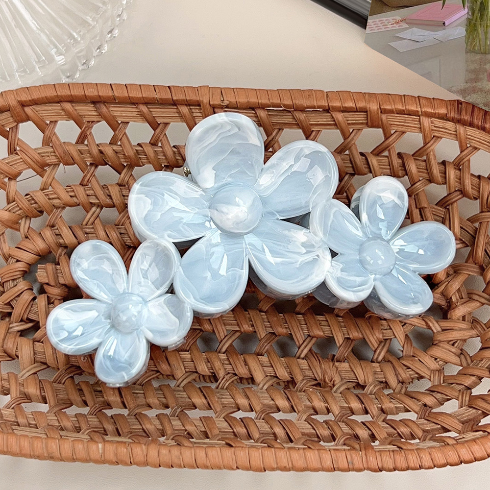 1 Pair Simple Series Daily Solid Color Resin Women's Hair Claws 