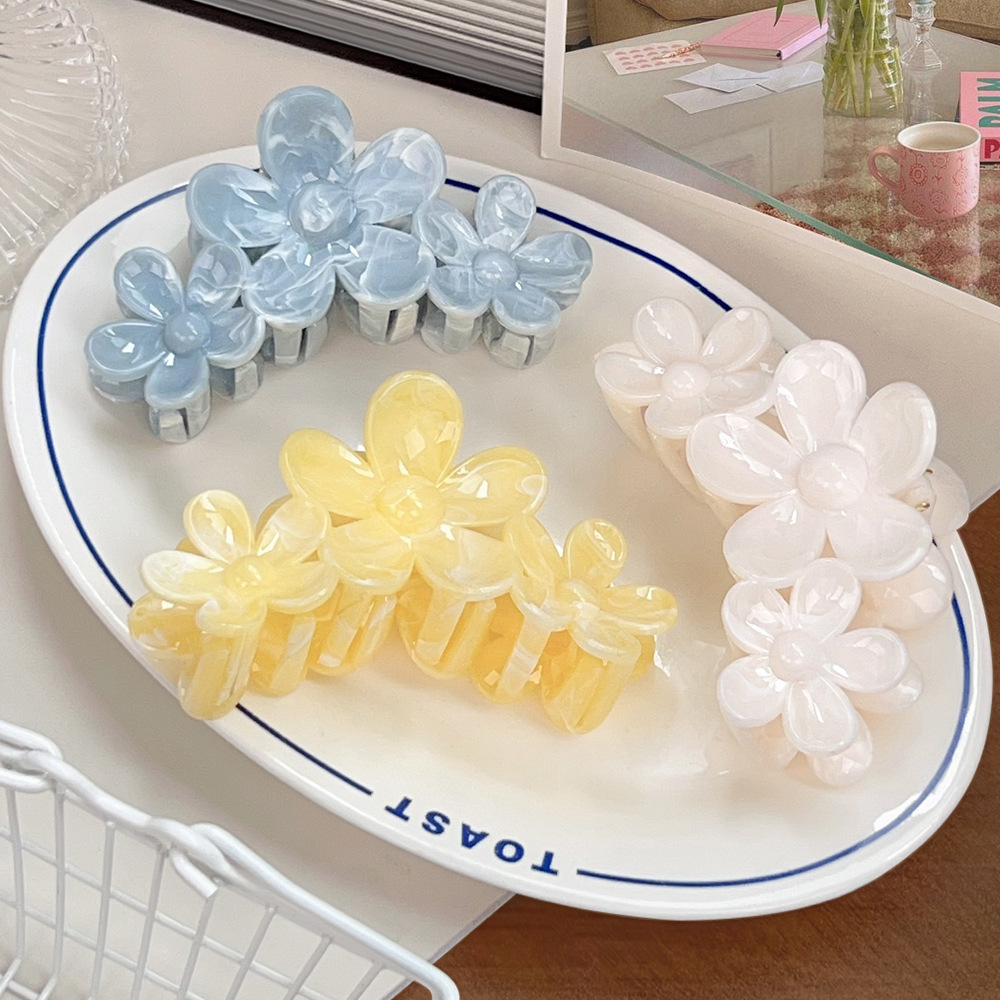 1 Pair Simple Series Daily Solid Color Resin Women's Hair Claws Picture2