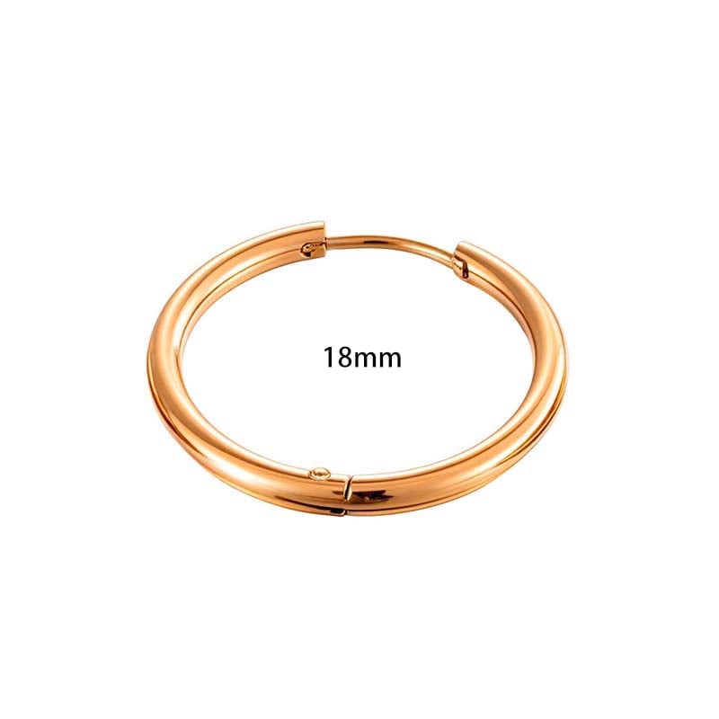 1 Piece Classic Circle Stainless Steel Gold Color Women's Hoop Earrings h5Picture2