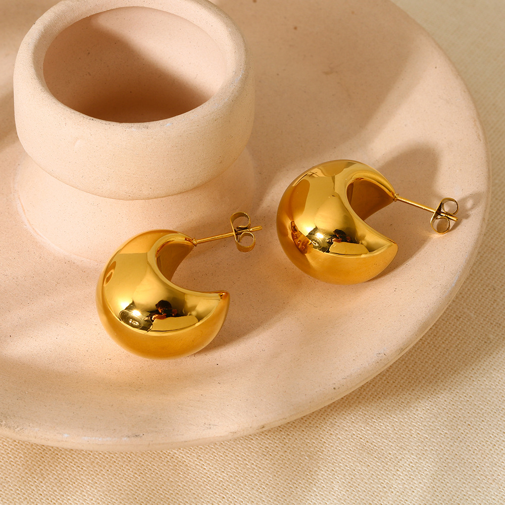 1 Pair Simple Series Daily Geometric Stainless Steel  Women's Stud Earrings h5Picture4