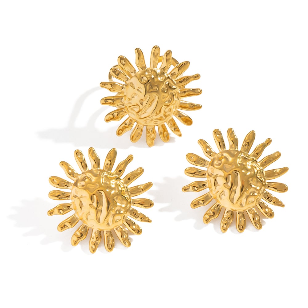 Sun Stainless Steel Gold Color Earring Set Picture5