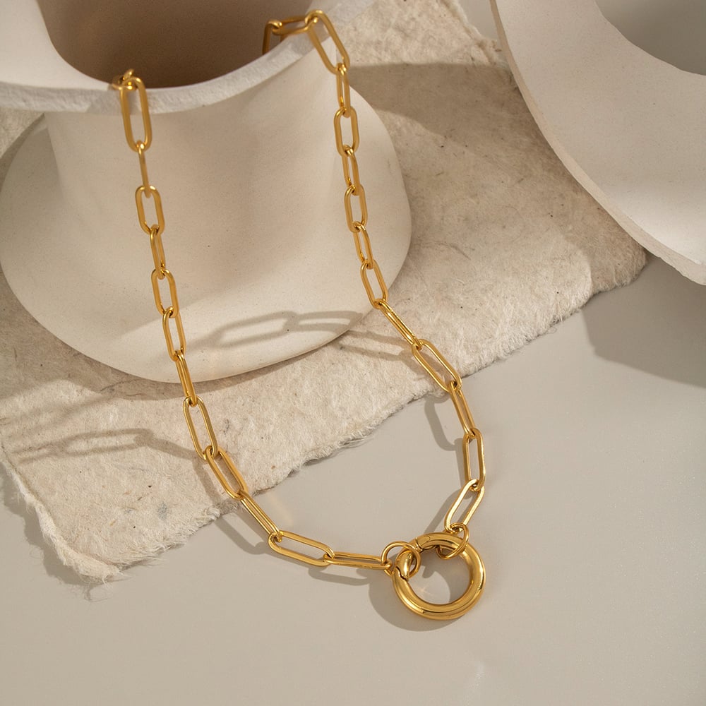 1 Piece Simple Series Daily Circle Stainless Steel  Women's Pendant Necklaces h5Picture3