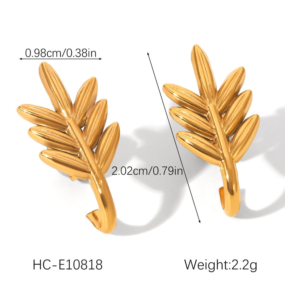 1 Pair Simple Plant Stainless Steel Women's Stud Earrings h5Picture2