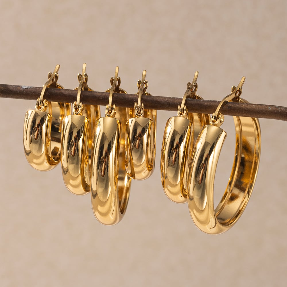 1 Pair Stainless Steel Gold Color Hoop Earrings Picture3