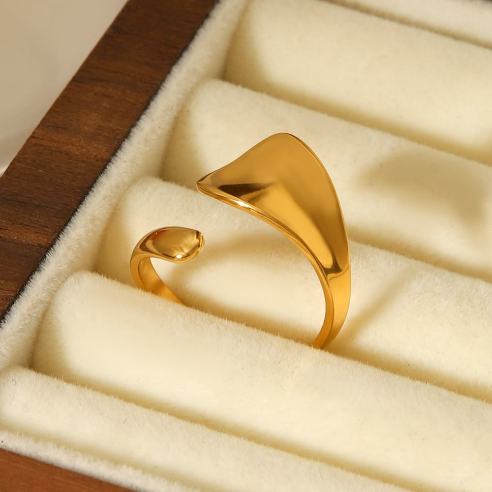 1 Piece Simple  Daily Irregular Shape Stainless Steel Statement Rings h5Picture6