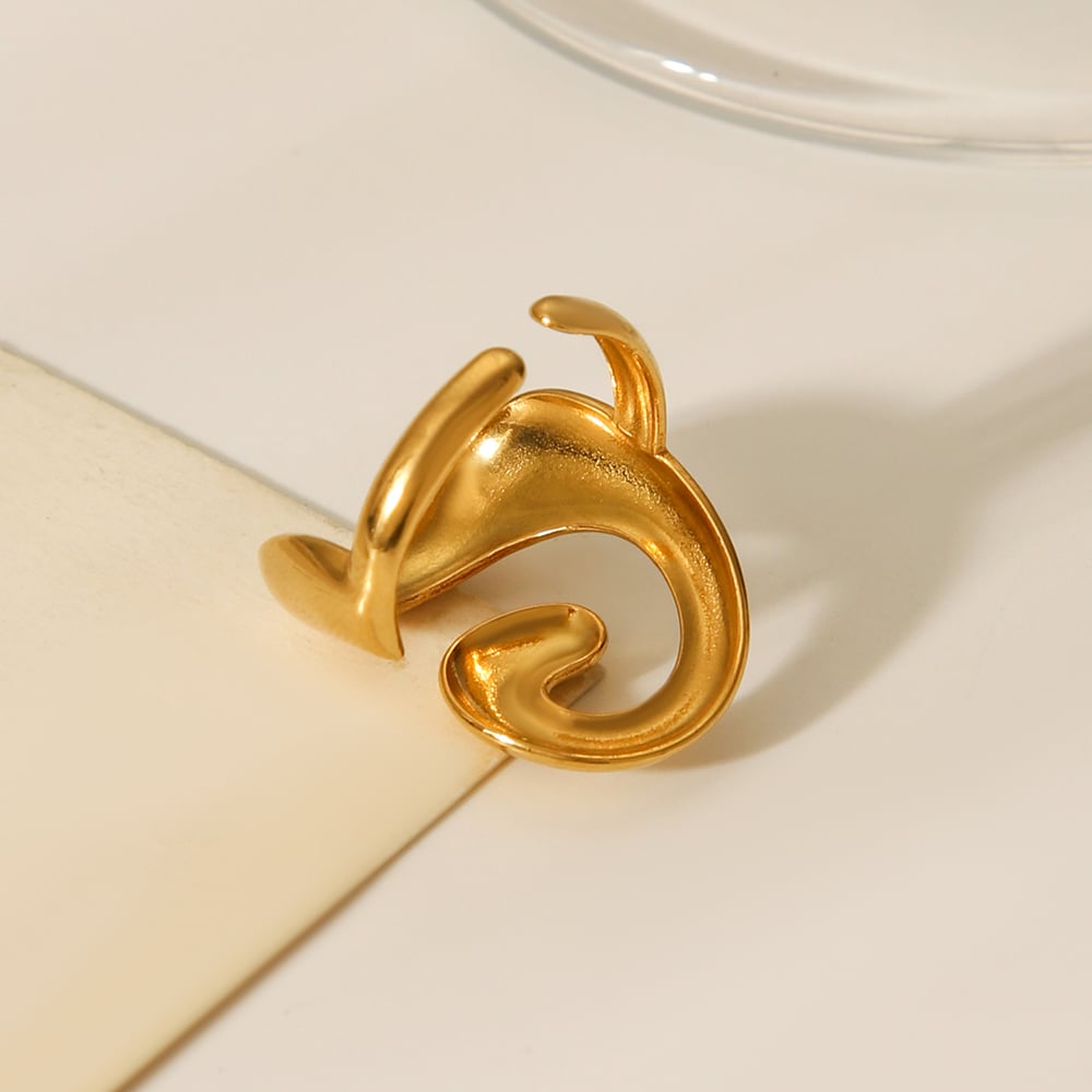 1 Piece Simple  Daily Irregular Shape Stainless Steel  Statement Rings h5Picture7