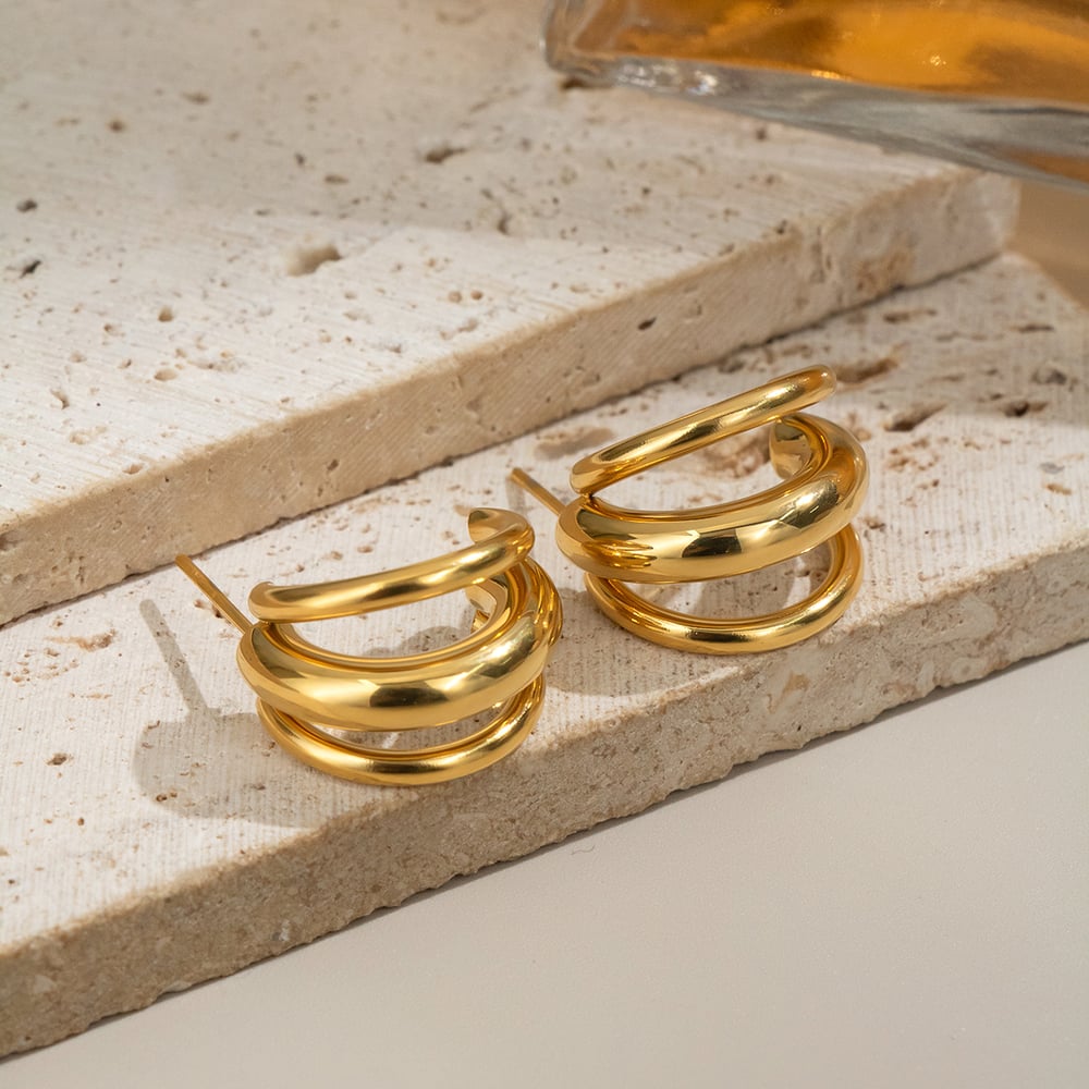 1 Pair Simple Daily Irregular Shape Stainless Steel   Women's Stud Earrings Picture4