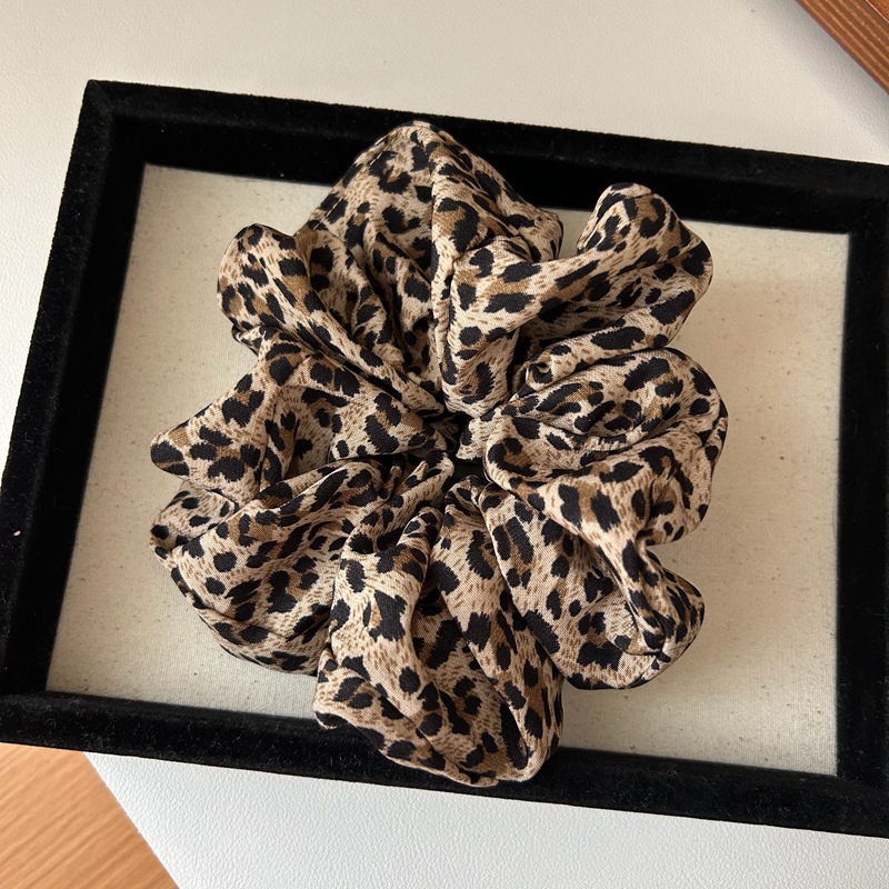 1 Piece Simple Series Classic Leopard Print Fabric Women's Scrunchies