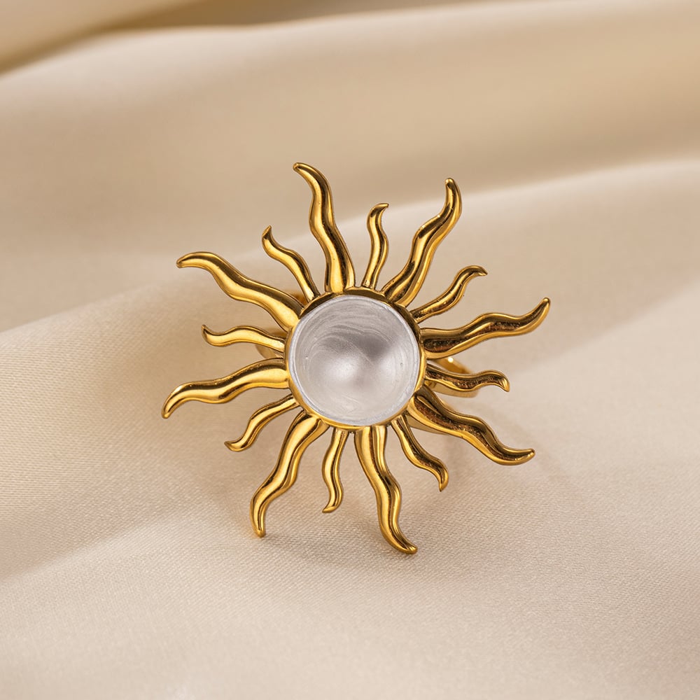 Birds Stainless Steel Earrings Set Picture3