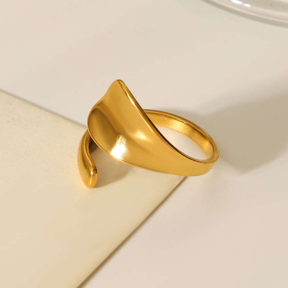 1 Piece Simple  Daily Irregular Shape Stainless Steel Statement Rings h5Picture8