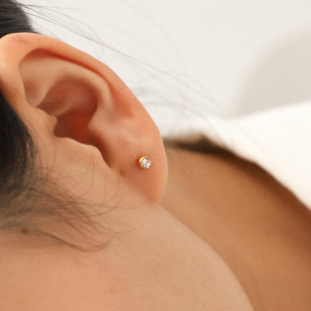 1 Set Daily Flower Stainless Steel Gold Color Zircon Women's Stud Earrings h5Picture4