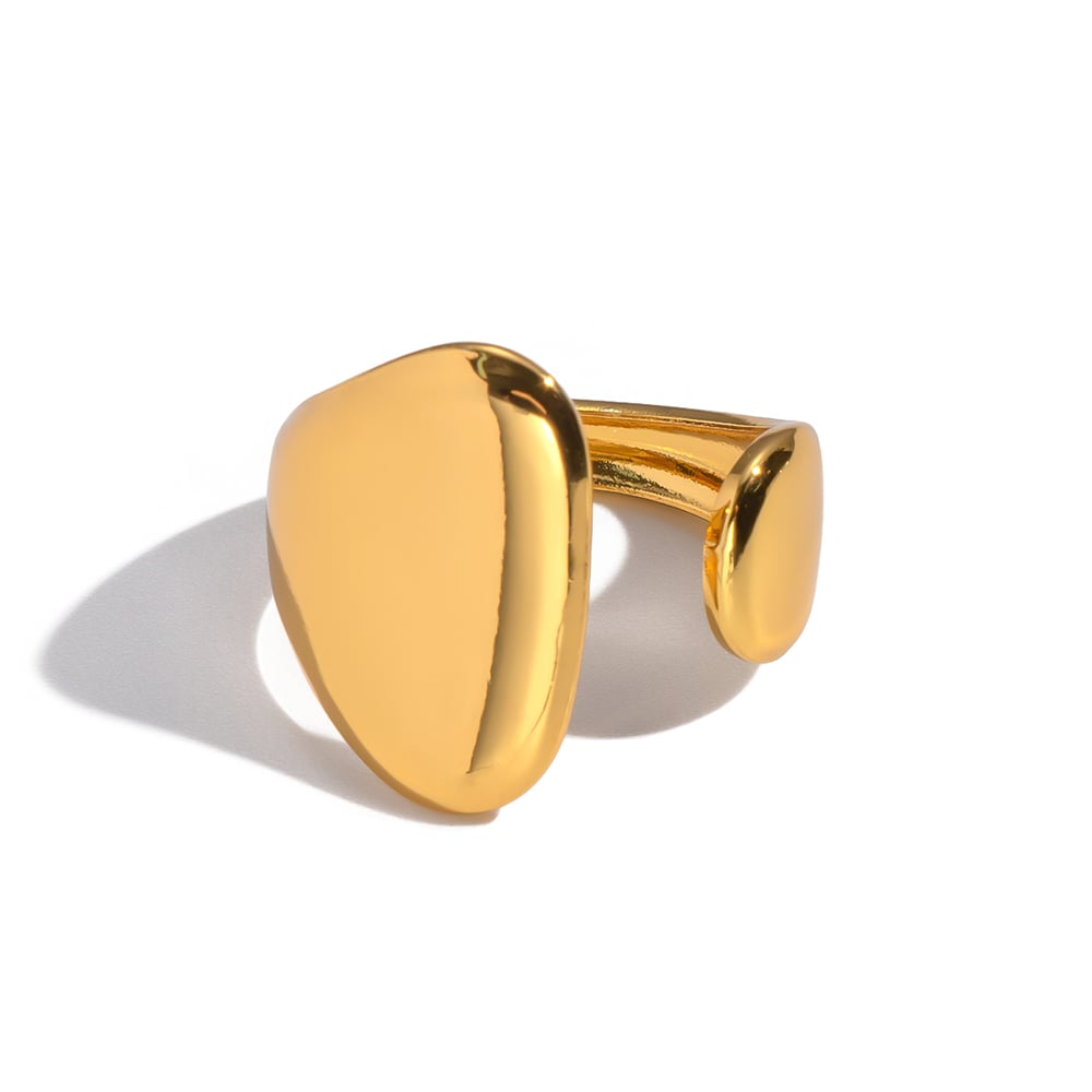 1 Piece Irregular Shape Stainless Steel Gold Color Minimalist Ring Picture6
