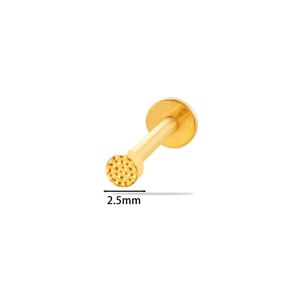 1 Stück einfache Kreis Titanlegierung Gold Farbe Damen Piercing Ohrringe Bild2