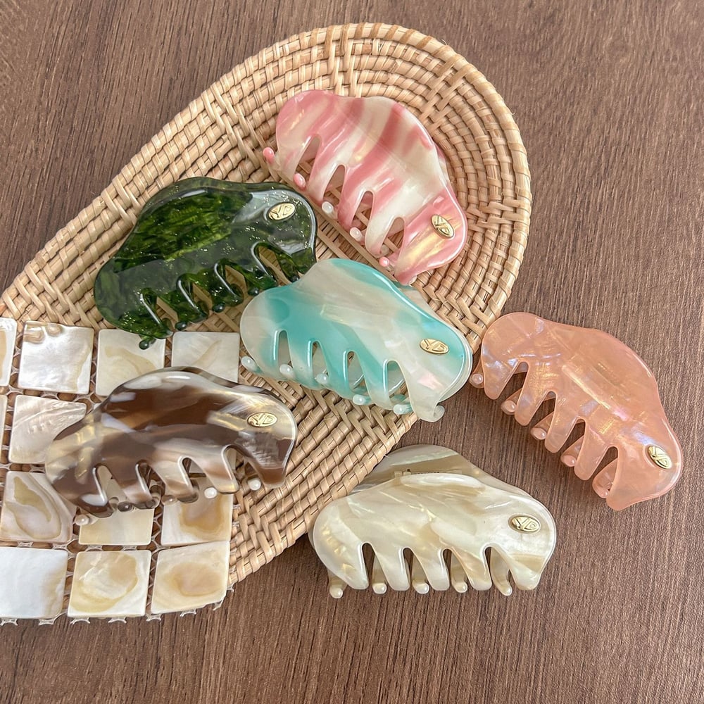 1 Piece Simple Casual Gradient Color Acetate Women's Hair Clips h5Picture2