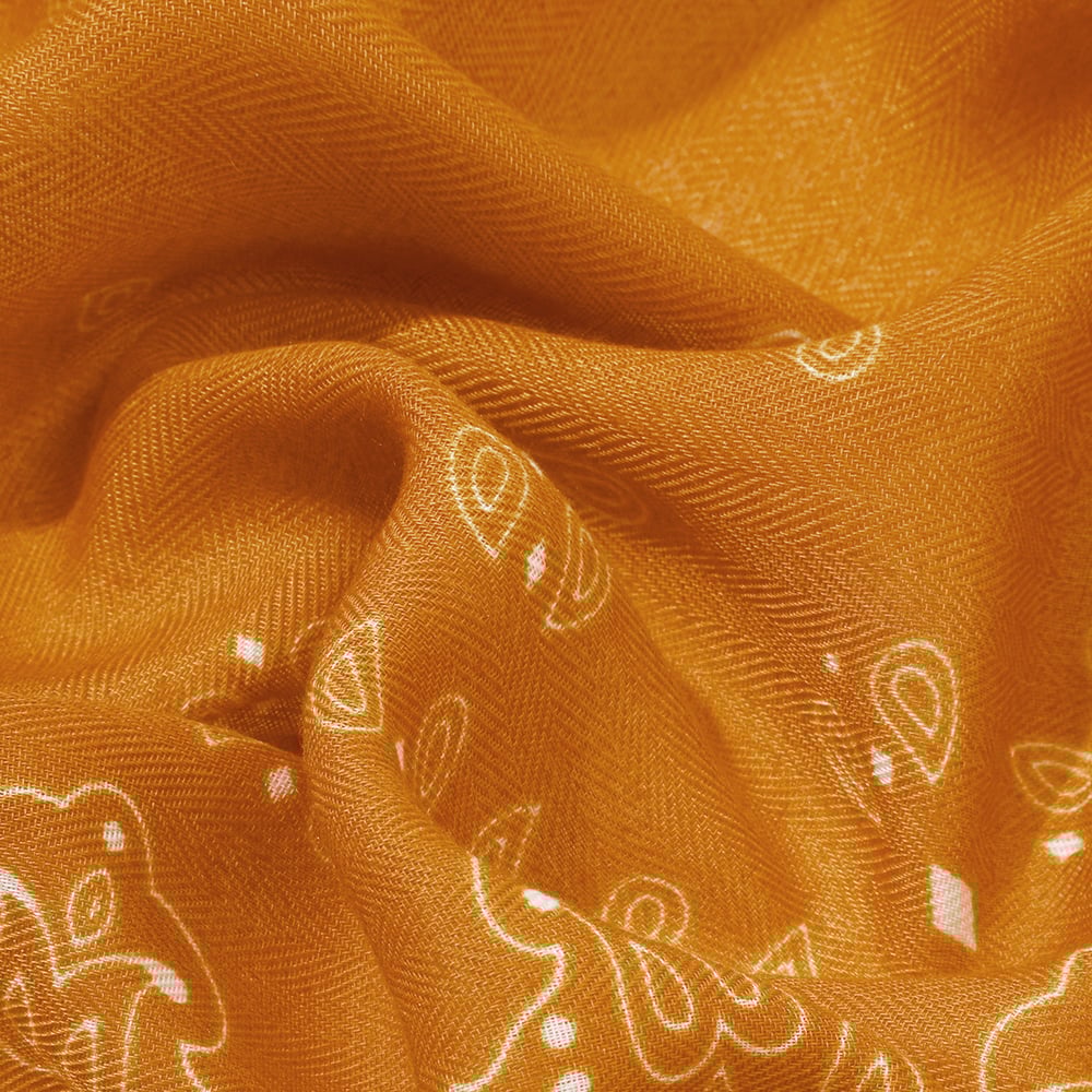 1 Piece Retro Mixed Color Paisley Pattern Polyester Bandana h5Picture4