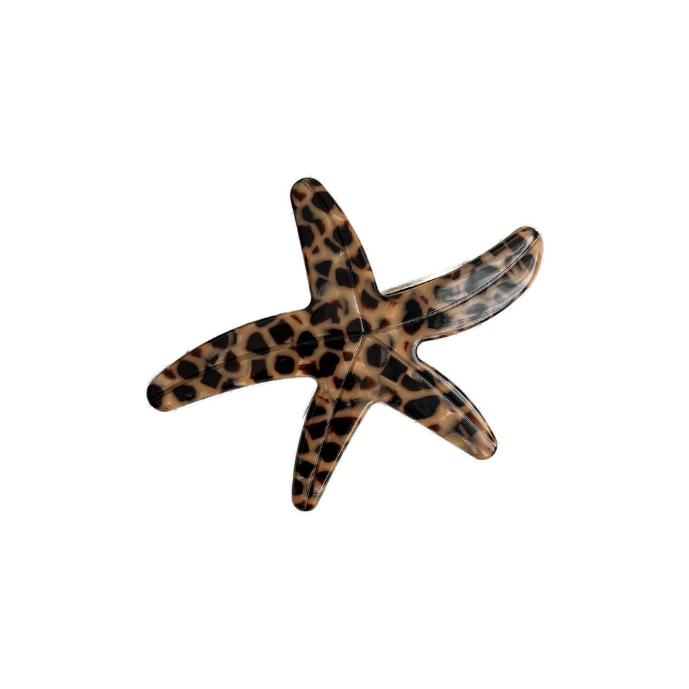 1 Piece Casual Starfish Acetate Women's Hair Clips Picture5