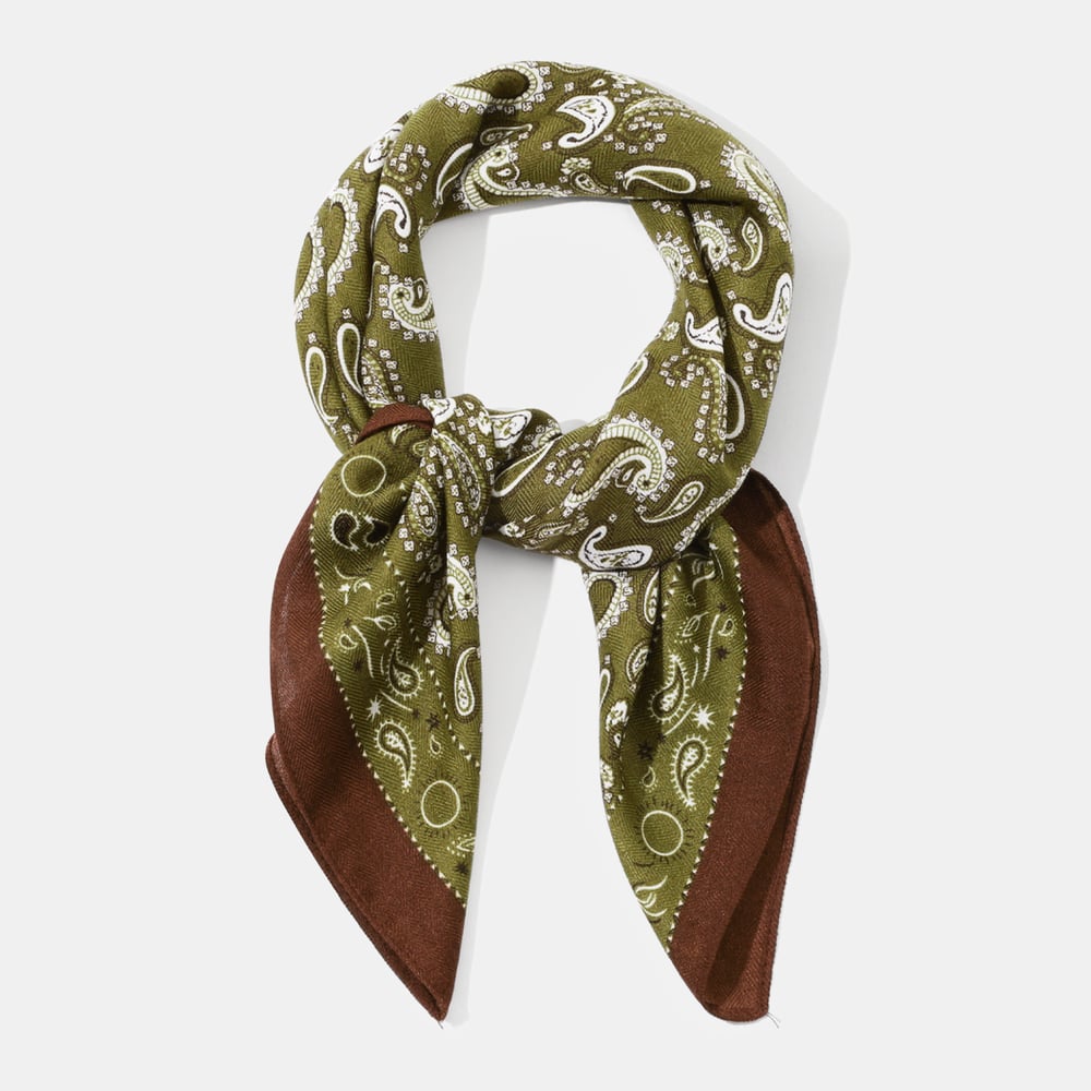 1 Piece Retro Mixed Color Paisley Pattern Polyester Bandana h5Picture2