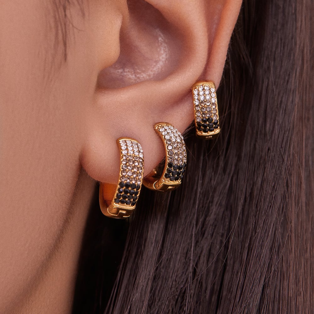 1 Pair Delicate Circle Stainless Steel Gold Color Zircon Women's Hoop Earrings h5Picture3