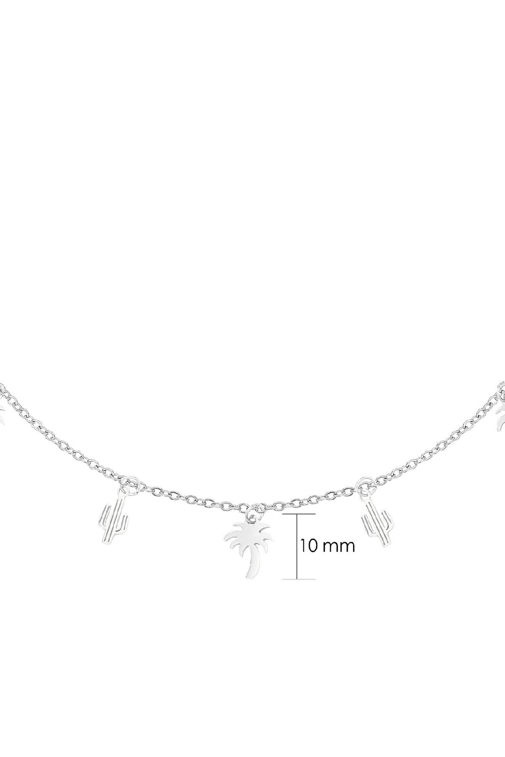 Ketting Desert Zilver Stainless Steel h5Afbeelding2