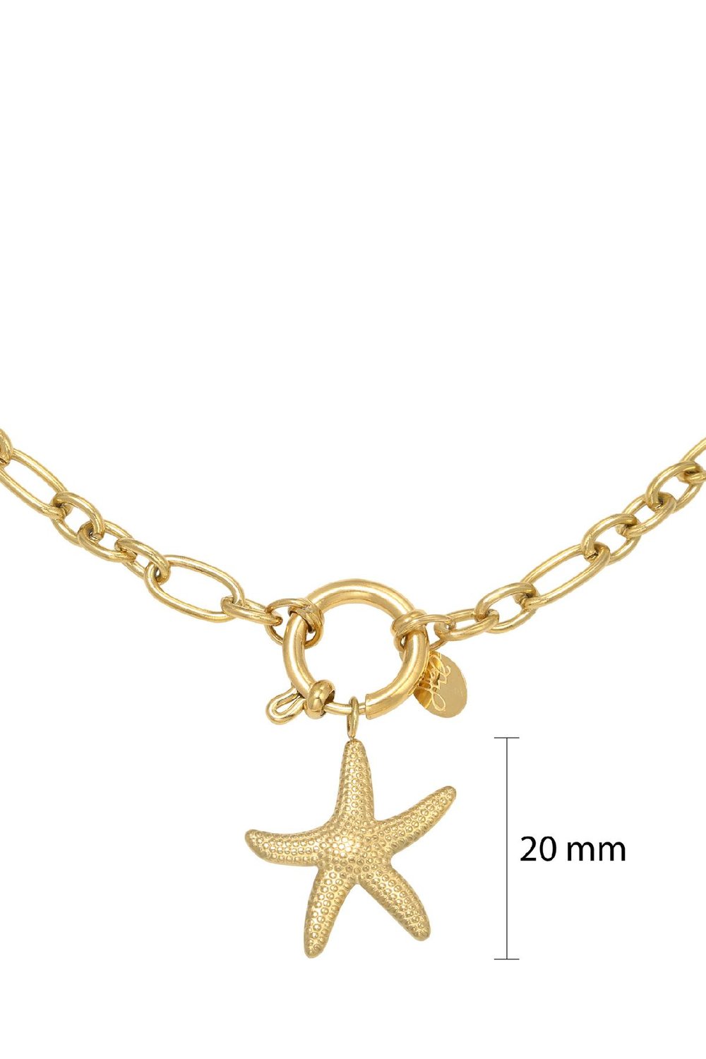 Collar Starfish Color dorado Acero inoxidable h5Imagen2