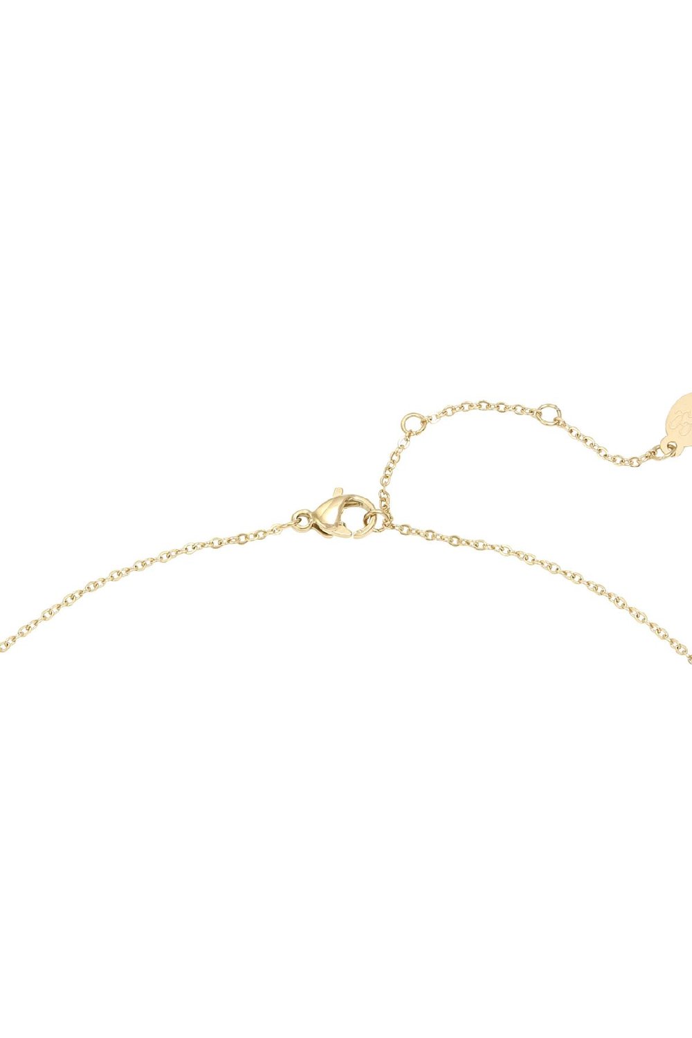 Collar Add A Little Confetti To Each Day Color dorado Acero inoxidable h5Imagen2