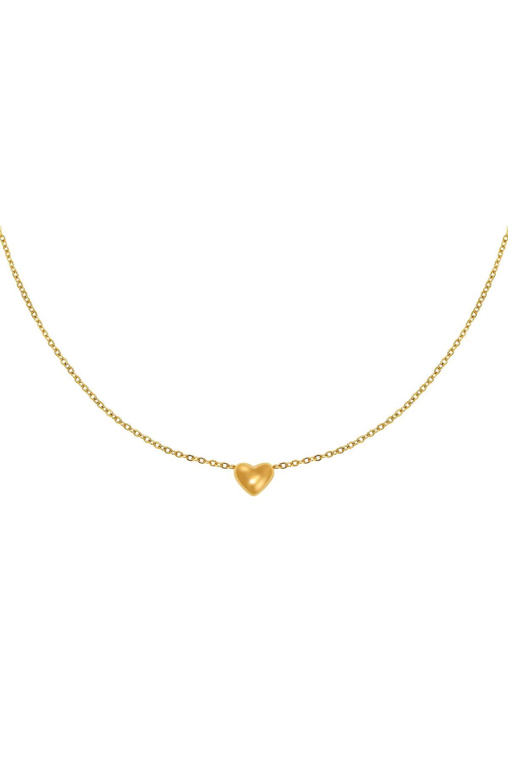 Necklace Always in my Heart Silver Color Stainless Steel