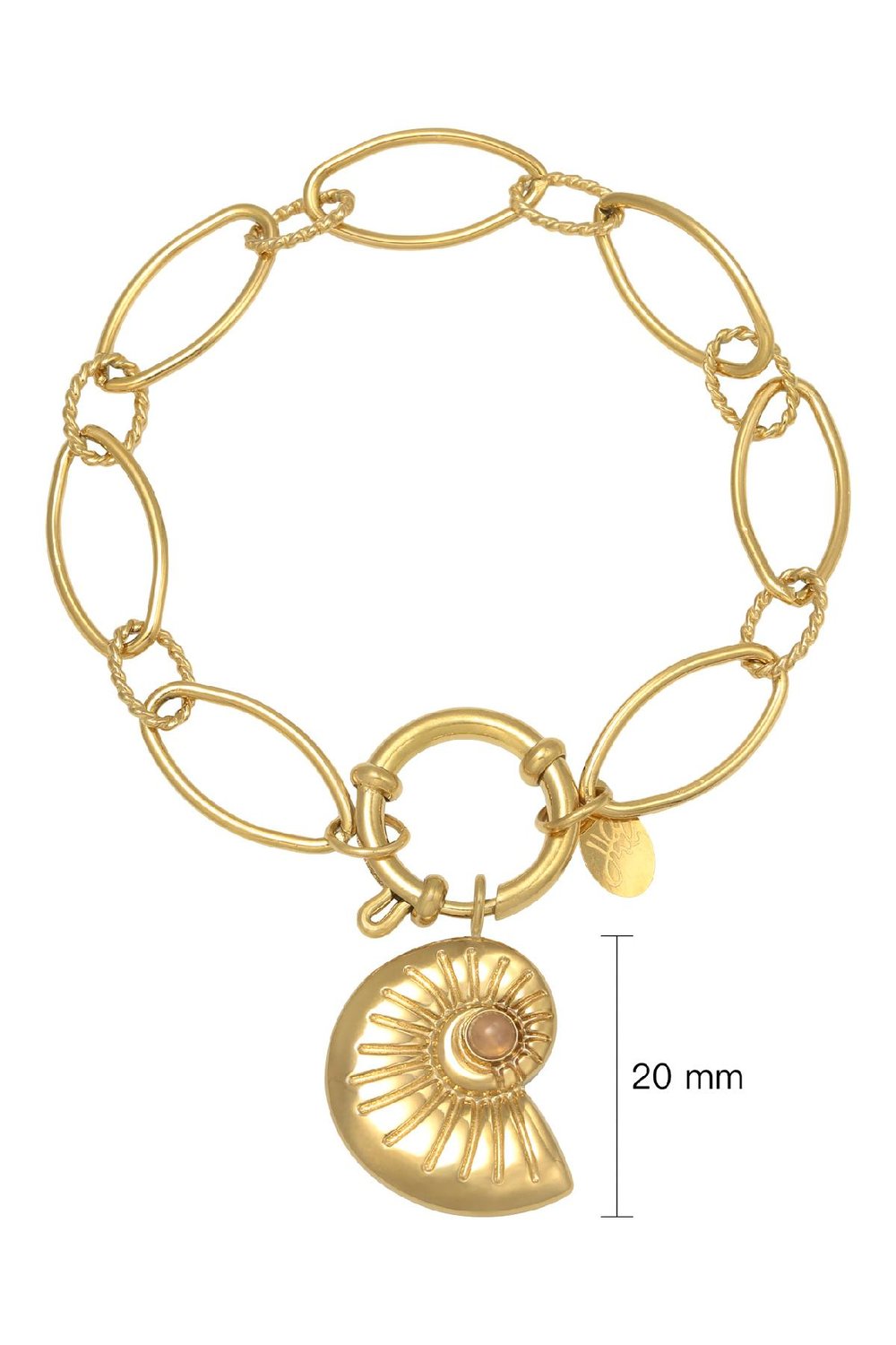 Bracelet Shell Around Gold Color Stainless Steel h5Picture2