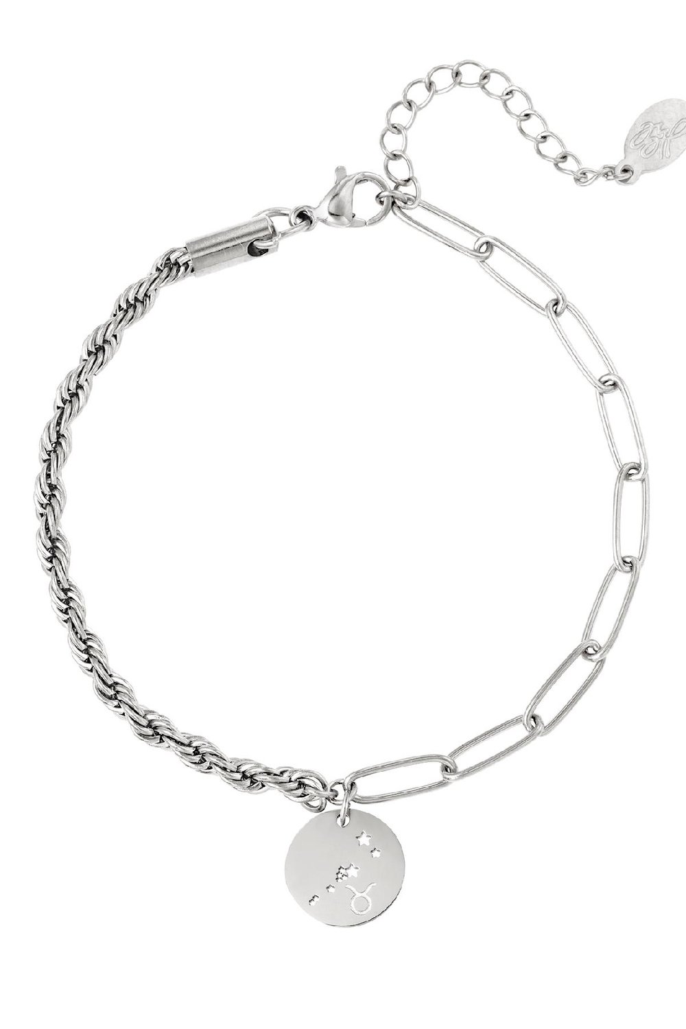 Bracelet signe du zodiaque Taureau Argenté Acier inoxydable h5Image2