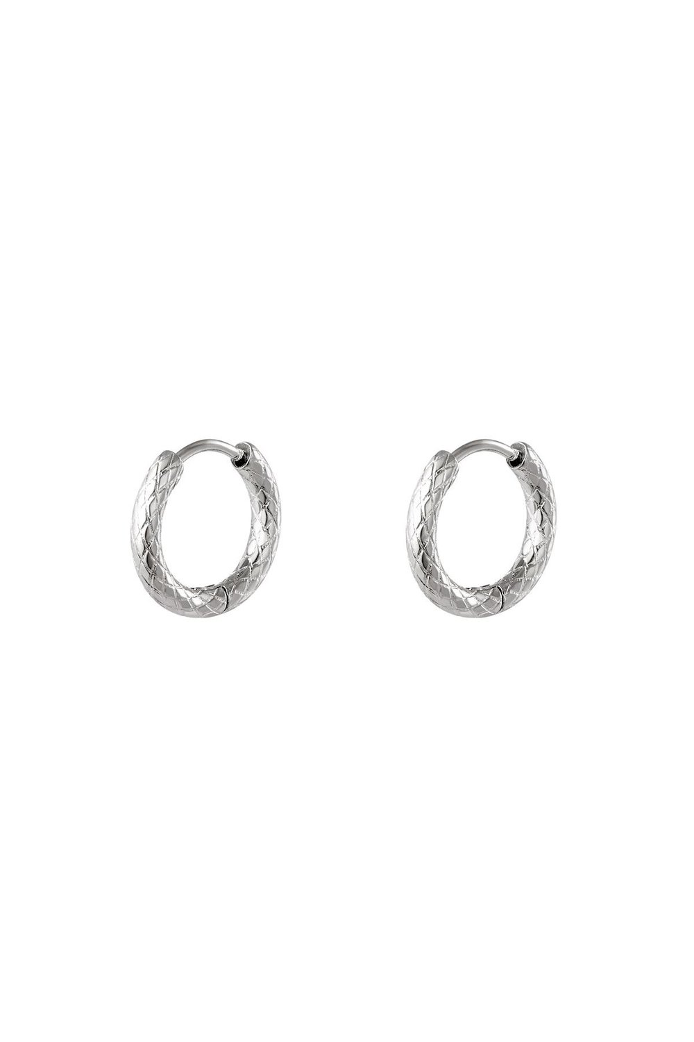 Orecchini a cerchio in acciaio inossidabile Gold Stainless Steel