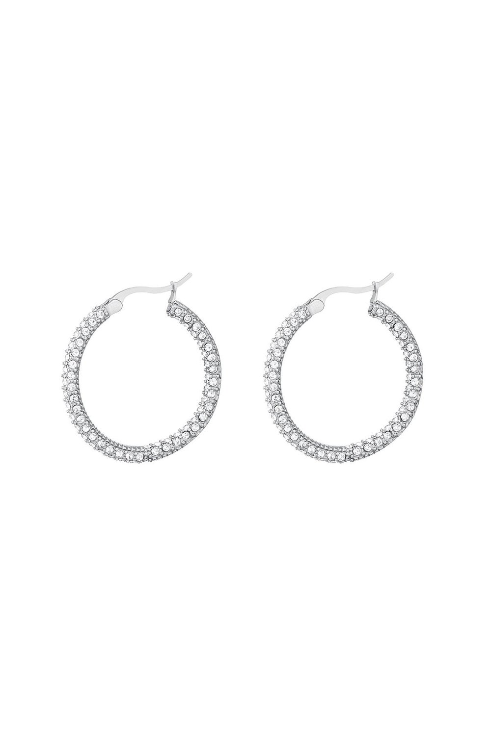 Round zircon earrings - small Silver Color Stainless Steel 