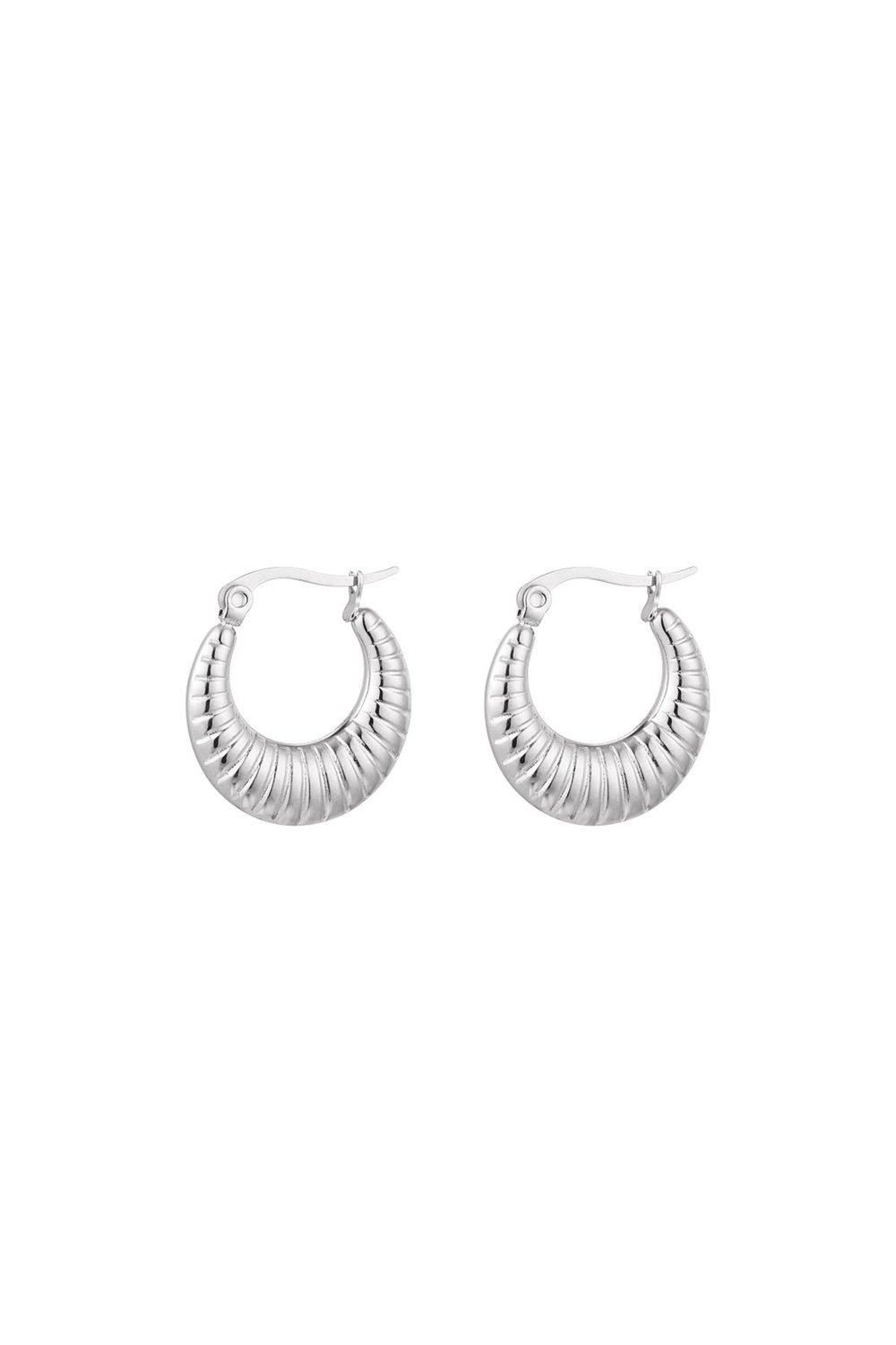 Earrings basic with print Silver Color Stainless Steel 
